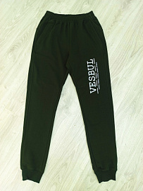 БрюкиМужчины 2Q-B2/700 2-4-39 42-50 спорт