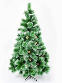 Сосна Шишки 120см