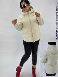 Куртка Женская Весна Осень